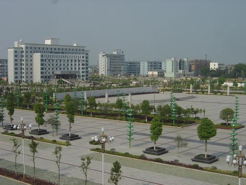 384.jpg