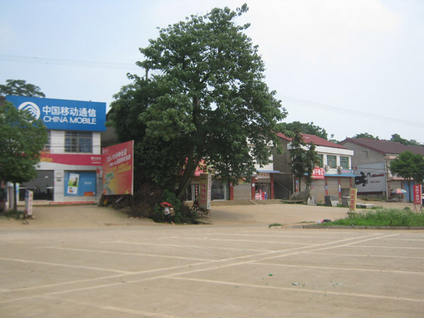 d979e.jpg