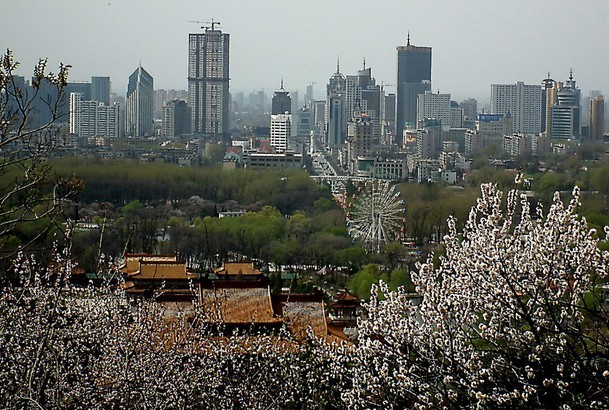 06.jpg