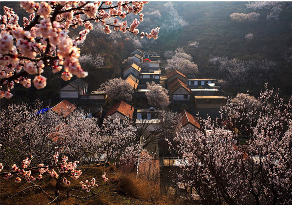 201711131510541329568923.jpg a_6.jpg