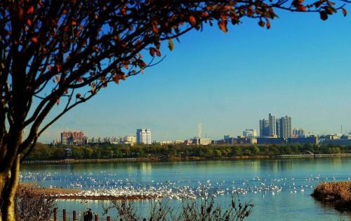 201804201524214662845875.jpg u0.jpg